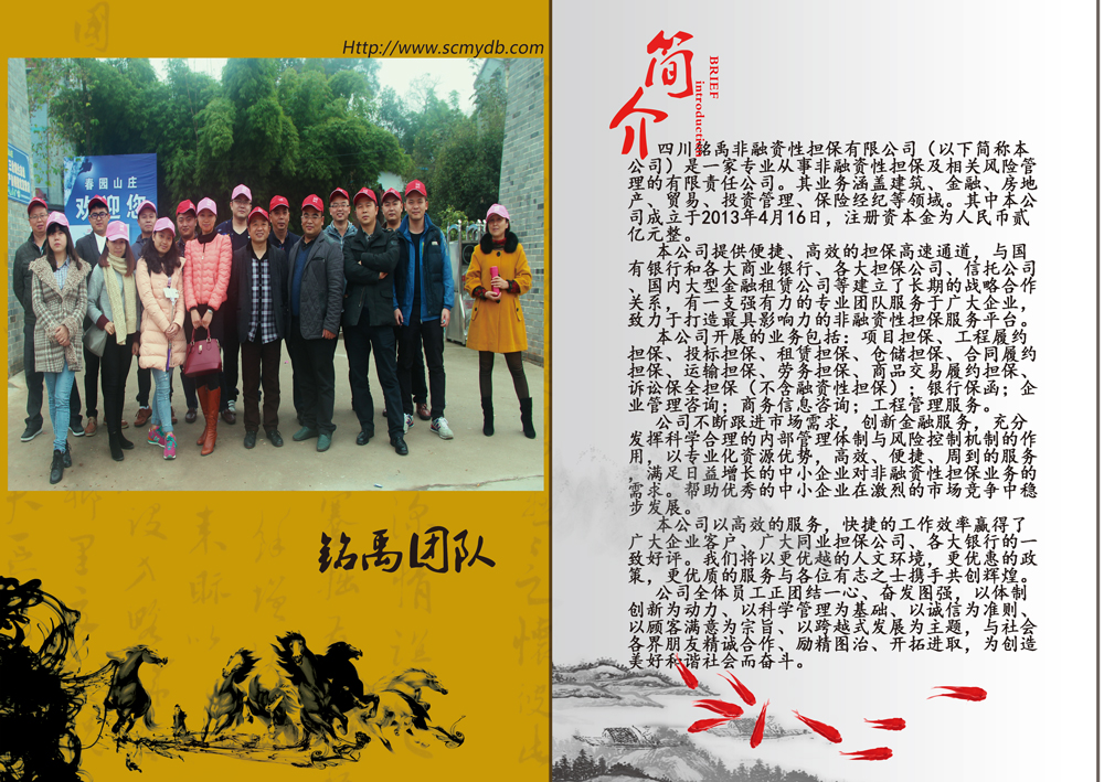 铭禹担保公司简介
