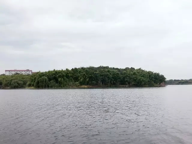 铭禹担保