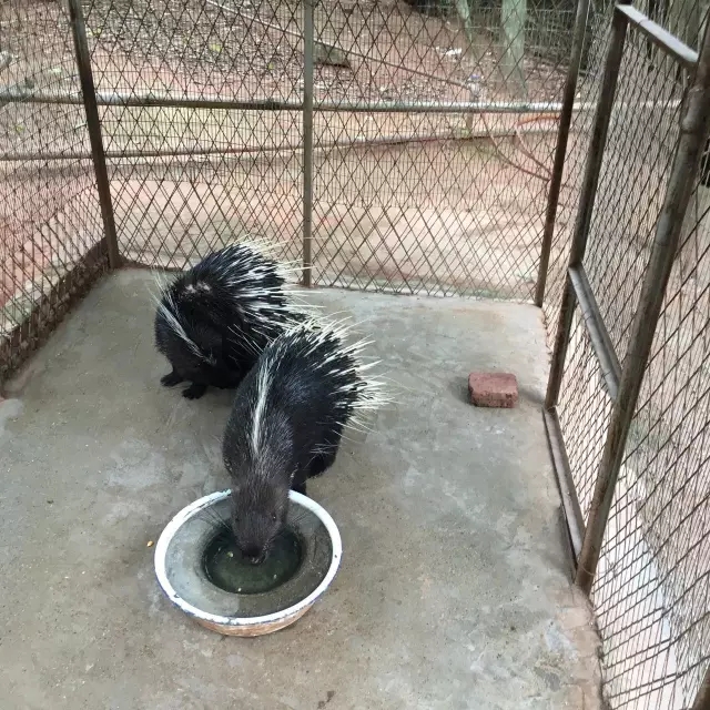 铭禹担保