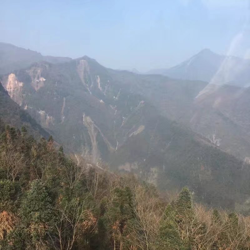 铭禹担保